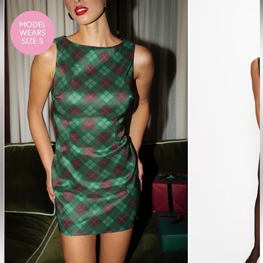 Show Me Your Mumu Tori Mini Dress